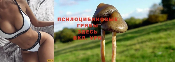 кристаллы Козловка