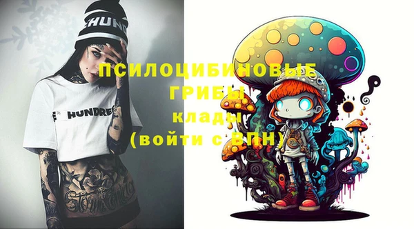 хмурый Козельск