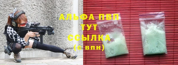 гашик Тайга